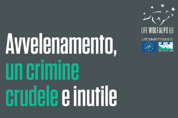 Avvelenamento e Unit&#224; Cinofile Antiveleno