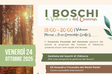 Gestione forestale e incendi - Vidracco 24/10/2025